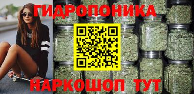 индика Тулун