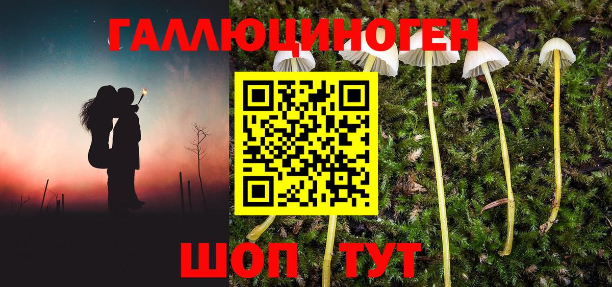 Орск  Псилоцибиновые грибы Magic Shrooms  Вход с VPN 